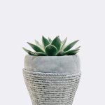 Image du produit précédent